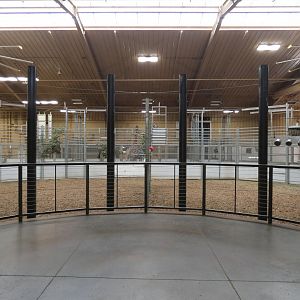 Giraffe Barn, African Grasslands - Jun. 2021