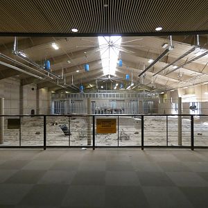 African Elephant Barn, African Grasslands - Jun. 2021