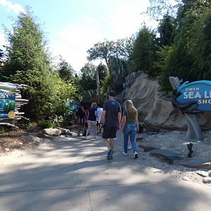 Sea Lion Shores - Jun. 2021