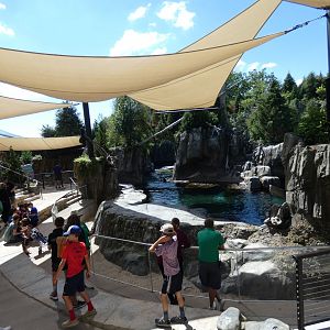 Sea Lion Shores - Jun. 2021