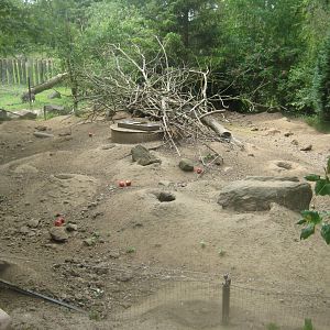 Munkholm Zoo - Prairie dog exhibit