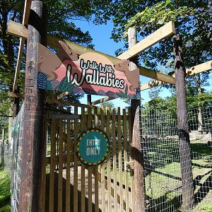 Walk with Wallabies entrance