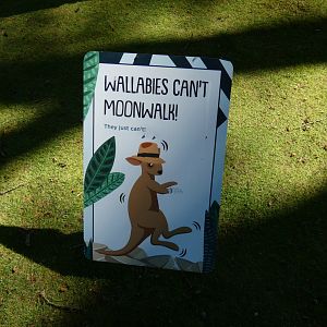 Signage in wallaby walk-through
