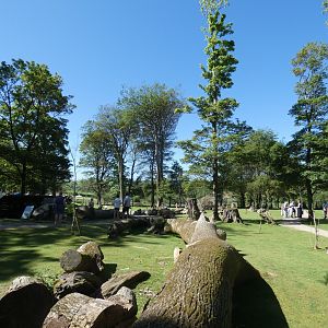 Wallaby walk-through