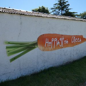 Rabbit walk-through signage