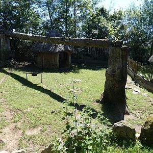 African spurred tortoise enclosure