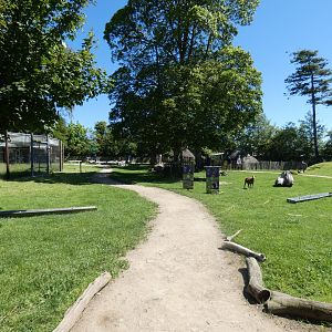 African village walk-through
