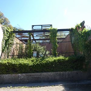 Former Siamang/Chimp/Macaw enclosure