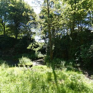 Former flamingo enclosure