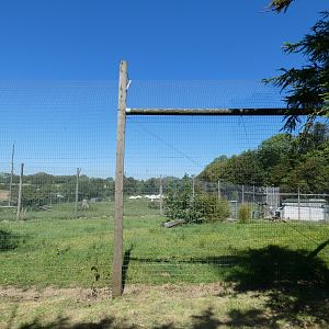 Smaller Sumatran tiger exhibit