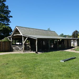 Meerkat viewing area