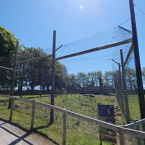 Visayan warty pig enclosure (2)