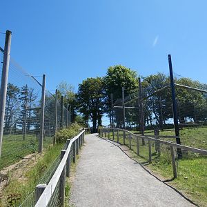 Sumatran tiger viewing area
