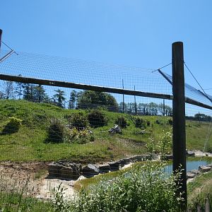 Larger Sumatran tiger enclosure