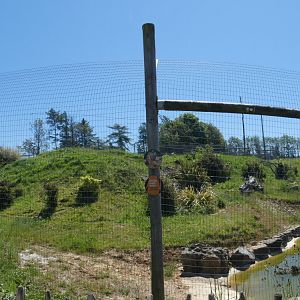 Sumatran tiger enclosure panorama