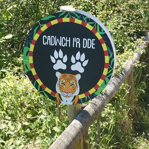 Social distancing signage