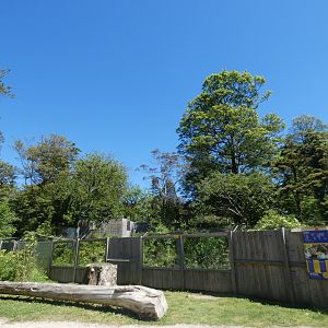 View of Red panda enclosure