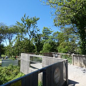 Red panda viewing area