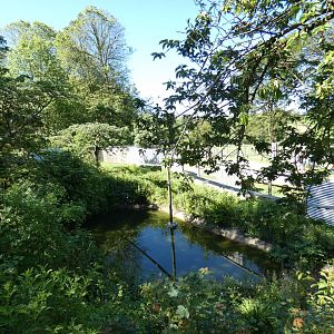 Red panda enclosure (2)