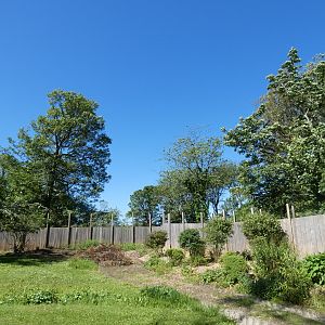 View of red panda enclosure from back