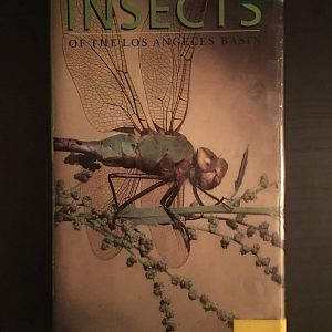 Insects of the Los Angeles Basin
