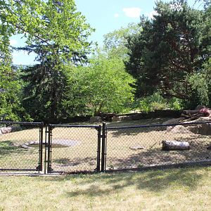Galaopagos Tortoise Exhibit