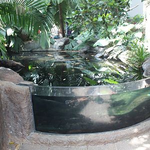 Turtle Tank - Tropical Discovery
