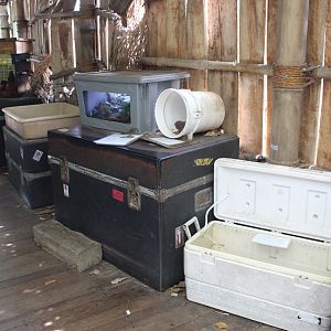 Infamous Snake Exhibits - Tropical Discovery