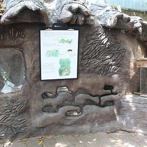 Leaf-Cutter Ant Exhibit - Tropical Discovery