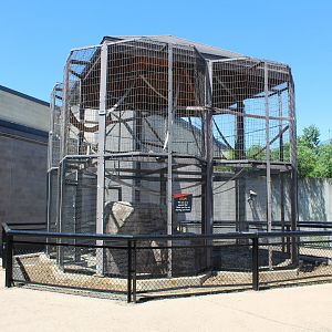 Patas Monkey Exhibit - Primate House