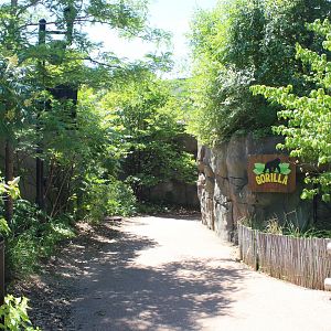 Gorilla Forest Entrance - Primate House