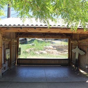 Gorilla Exhibit - Primate House