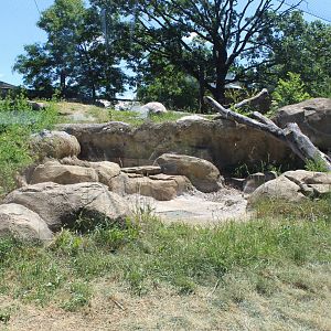 Gorilla Exhibit - Primate House