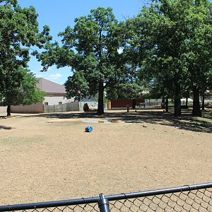Zebra and African Spurred Tortoise Exhibit - African Hoostock Building