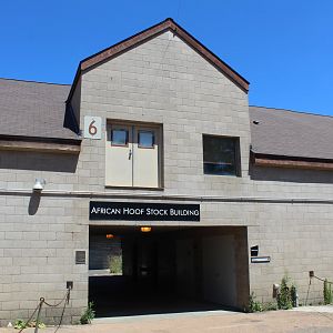 African Hoostock Building