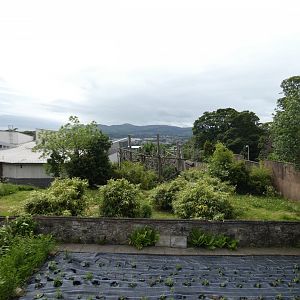 Chimpanzee outdoor enclosure