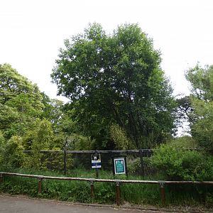 White-faced saki enclosure