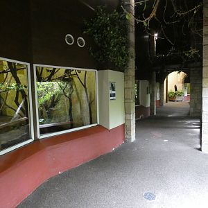 View of Magic Forest indoor