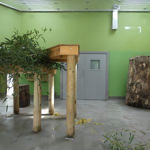 Giant panda indoor enclosure (female)