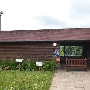 Giant anteater house