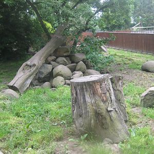 Munkholm Zoo - Banded mongoose exhibit