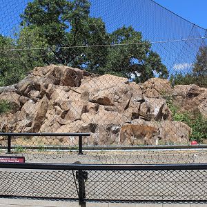Cougar Exhibit - Large Cat Building