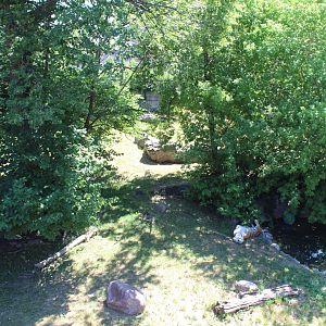Amur Tiger Exhibit - Large Cat Building