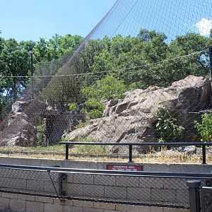Snow Leopard Exhibit - Large Cat Building