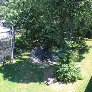 Lion Exhibit - Large Cat Building