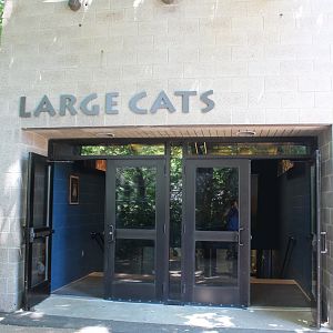 Large Cat Building Entrance