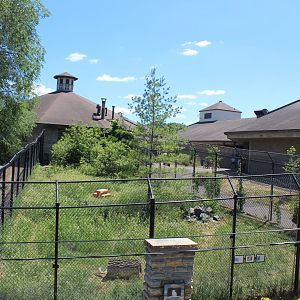 Arctic Fox Exhibit - Northern Hoofstock Barn