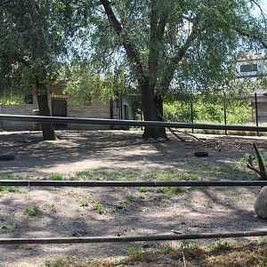 Reindeer Exhibit - Northern Hoofstock Barn