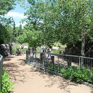 Polar Bear Odyssey Entrance