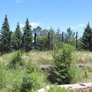 Polar Bear Exhibit #1 - Polar Bear Odyssey